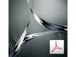 Adobe Acrobat Standard DC Vollversion, Level 1/1-9, 1 Jahr, MP