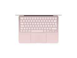 Apple 13