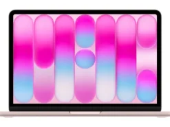 Apple 13
