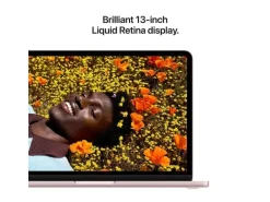 Apple 13