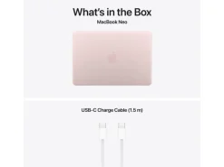 Apple 13