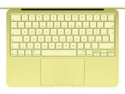 Apple 13