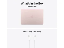 Apple 13