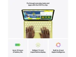 Apple 13