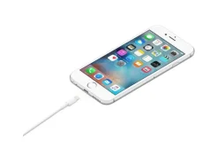 Apple USB 2.0-Kabel USB-A - Lightning 1 m