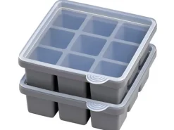 APS Eiswürfelform mit Deckel 2er Set
