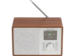 Audizio Cosa-WD Braun