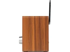 Audizio Cosa-WD Braun