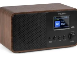 Audizio DAB+ Radio Avio Braun