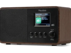 Audizio DAB+ Radio Avio Braun