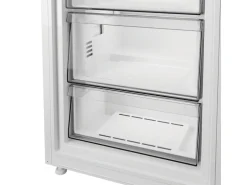 Bauknecht Gefrierschrank BKGF186 Rechts