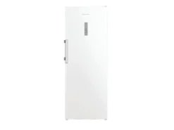 Bauknecht Gefrierschrank GKN 19170D CH