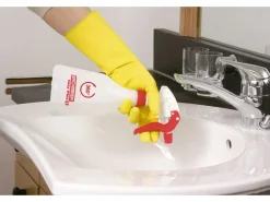 Birchmeier Handsprüher Foxy Plus