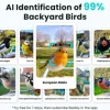 Birdfy Futterspender Basic Solar