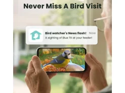 Birdfy Futterspender Basic Solar