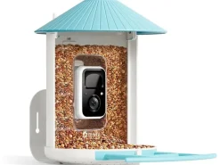 Birdfy Futterspender Basic Solar