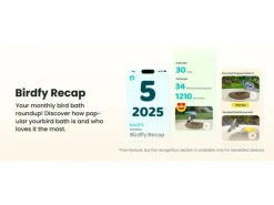 Birdfy Intelligentes Vogelbad mit Kamera
