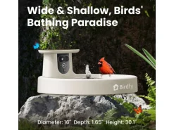 Birdfy Intelligentes Vogelbad mit Kamera