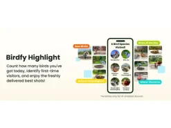 Birdfy Intelligentes Vogelbad mit Kamera
