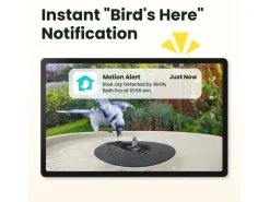 Birdfy Intelligentes Vogelbad mit Kamera