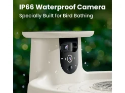 Birdfy Intelligentes Vogelbad mit Kamera