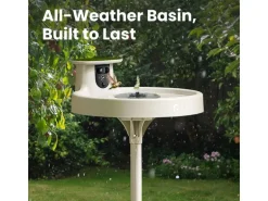 Birdfy Intelligentes Vogelbad mit Kamera