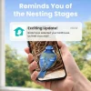 Birdfy Nistkasten mit Kamera und Solar