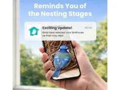 Birdfy Nistkasten mit Kamera und Solar