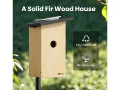 Birdfy Nistkasten mit Kamera und Solar