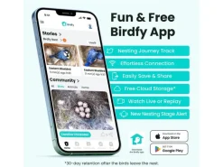 Birdfy Nistkasten mit Kamera und Solar
