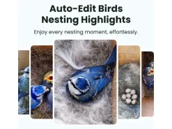 Birdfy Nistkasten mit Kamera und Solar