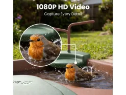 Birdfy Vogelbad Jolly V