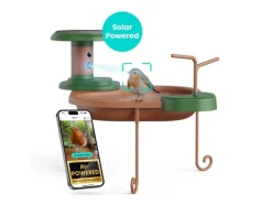 Birdfy Vogelbad Jolly V