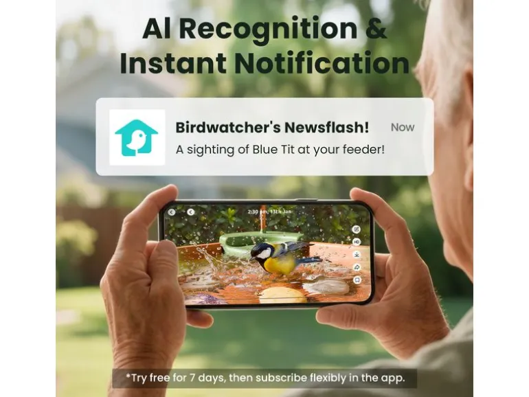 Birdfy Vogelbad Jolly V