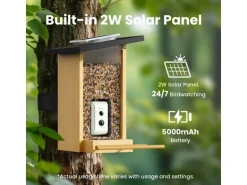 Birdfy Vogelfutterhaus mit AI-Kamera