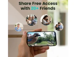 Birdfy Vogelhaus mit Kamera 1080p