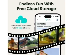 Birdfy Vogelhaus mit Kamera 1080p