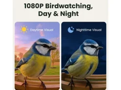 Birdfy Vogelhaus mit Kamera 1080p