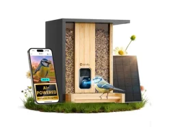 Birdfy Vogelhaus mit Kamera 1080p