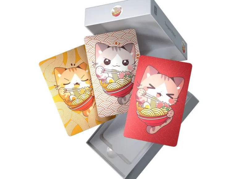 bitConsult Tangem 2.0 Ramen 3 Karten Set