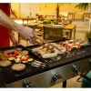 Blaser + Trösch Gastrogrill Companion Pro