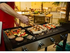 Blaser + Trösch Gastrogrill Companion Pro