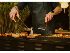 Blaser + Trösch Gastrogrill Companion Pro