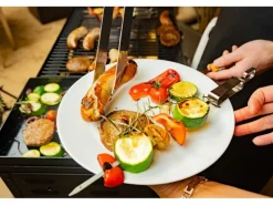 Blaser + Trösch Gastrogrill Companion Pro