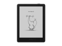 Boox eReader Go 6 (Gen II) Plum