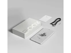 Boox eReader Palma Weiss