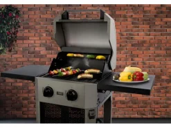 Buschbeck Elektrogrill Grenada mit CH-Stecker, 2400 W