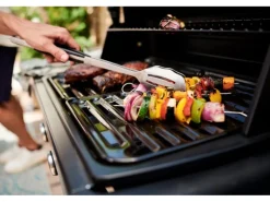 Campingaz Gasgrill Compact 3 L