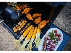 Campingaz Gasgrill Select 4 L Plus