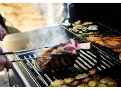 Campingaz Gasgrill Select 4 L Plus